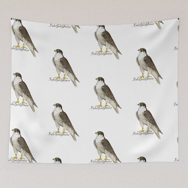 Item preview, Peregrine Falcon (Falco peregrinus) designed and sold by Tamara Clark.