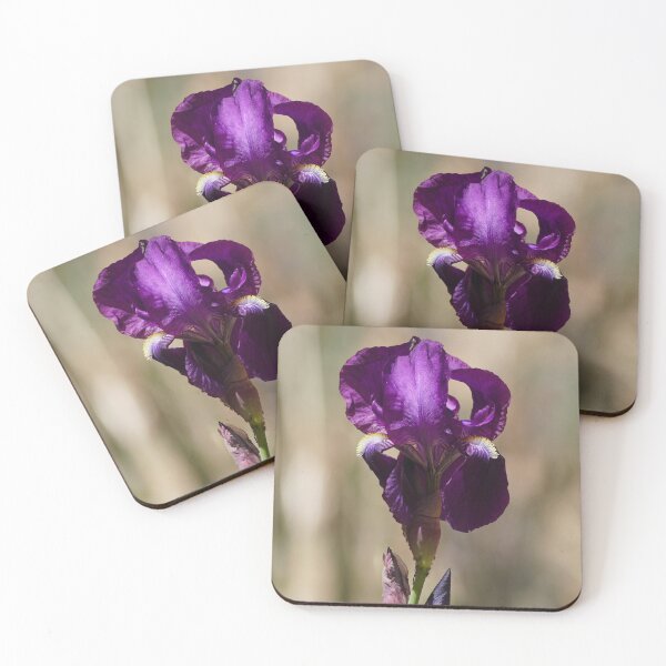 Item preview, A Beautiful Purple Iris Flower Stem designed and sold by MomentofPercep.