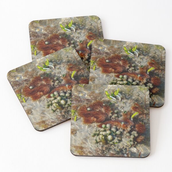 Item preview, Marine Life designed and sold by D-GaP.