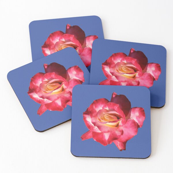 Artikelvorschau, Rote und cremefarbene Rose auf Blau entworfen und verkauft von STHogan2.