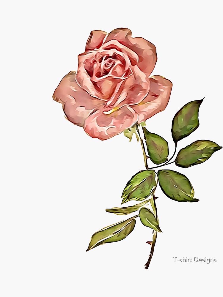 Beautiful Rose Drawing by Maria Magdalena - Fine Art America