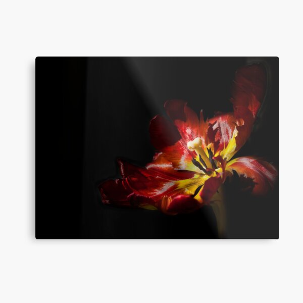 Gleam With Luster Redux Metal Print