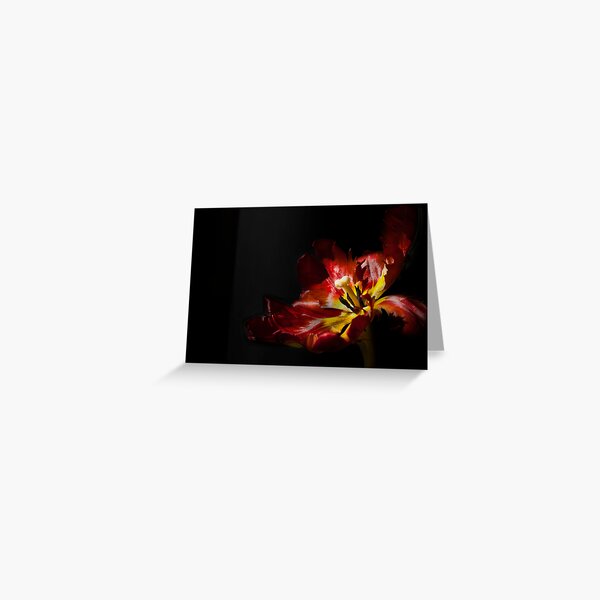 Gleam With Luster Redux Greeting Card