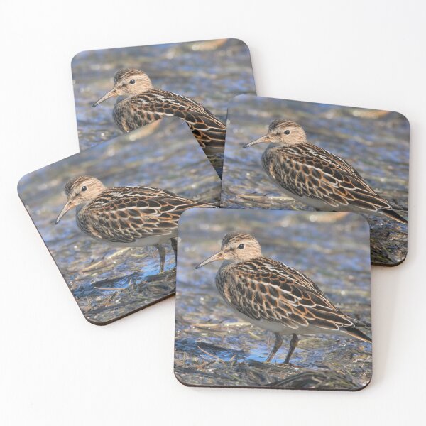Item preview, Party with Pectoral Sandpipers designed and sold by walkswithnature.