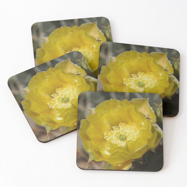 Item preview, A Prickly Pear Flower Draws Visitors designed and sold by MomentofPercep.