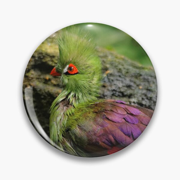 Item preview, Profile of a Guinea Turaco at the Waterfall designed and sold by walkswithnature.