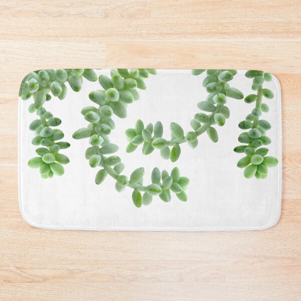 Item preview, Hanging Succulents - Burro's Tail Succulents - Green House Plants designed and sold by TurningMoss.