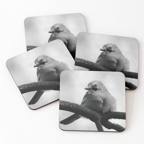 Item preview, Jay Zzzzzzzz designed and sold by CBoyle.