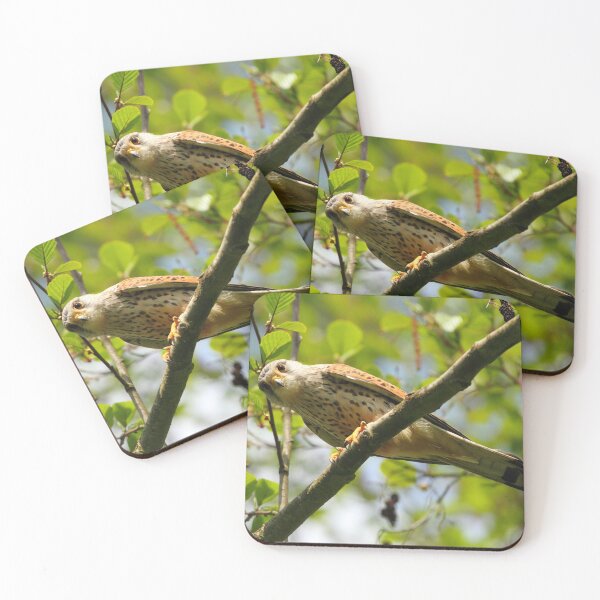 Item preview, Eye On The Prize designed and sold by CBoyle.