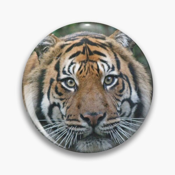 Item preview, Sumatran Tiger designed and sold by LeanneAllen.