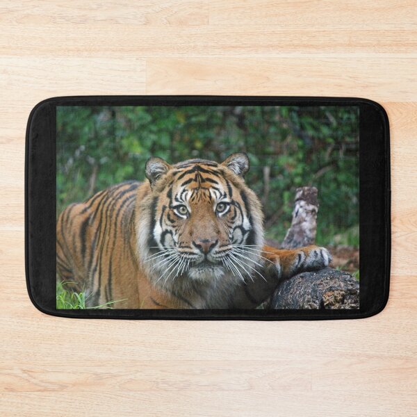 Item preview, Sumatran Tiger designed and sold by LeanneAllen.