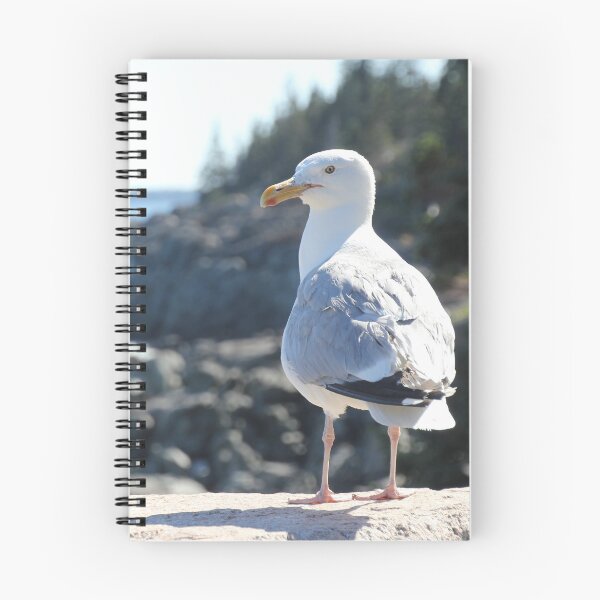 Item preview, The Maine Gull designed and sold by Autumn Seas Photography.