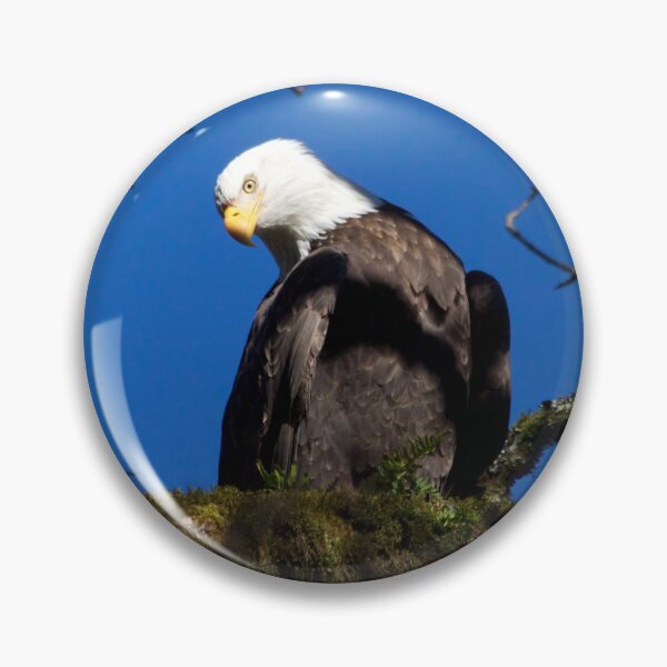Item preview, Perching Eagle designed and sold by couragesings.