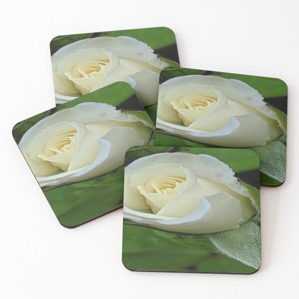 Item preview, Everlasting Love White Rose designed and sold by Missy69.