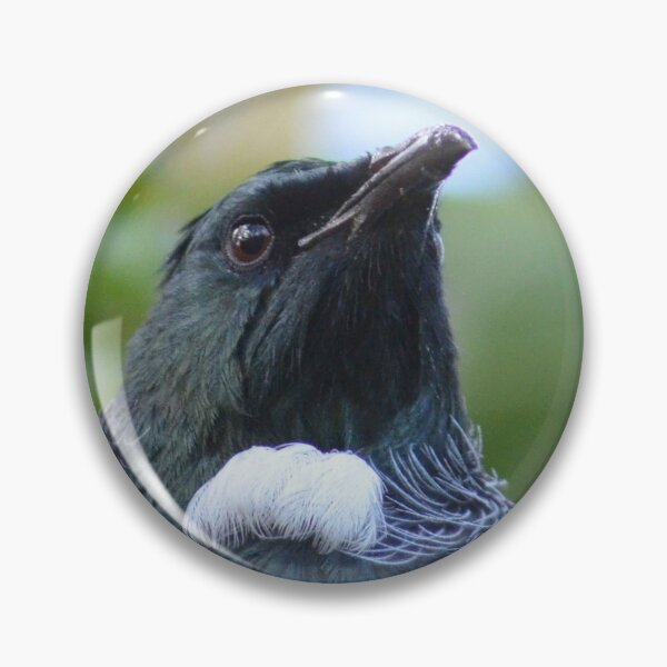 Item preview, Tui in my garden- New Zealand Birds designed and sold by lizdomett.