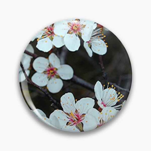 Artikelvorschau, The Splendor of Spring entworfen und verkauft von stephenralph.