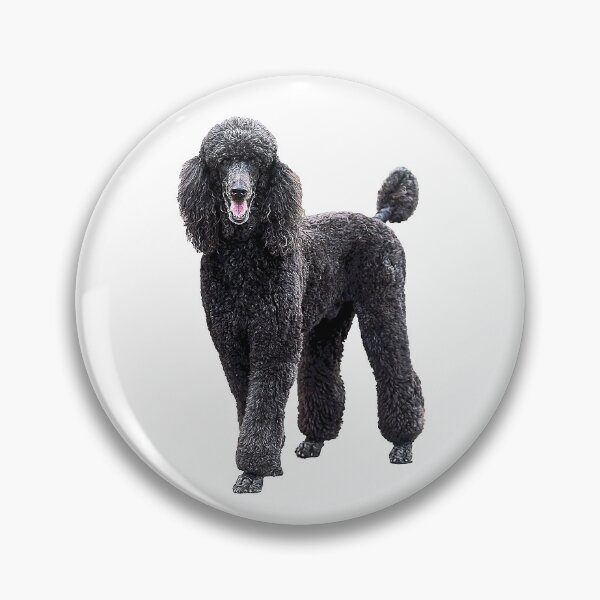 Item preview, Poodle Standard Black Cute elegant puppy dog designed and sold by ElegantCat.
