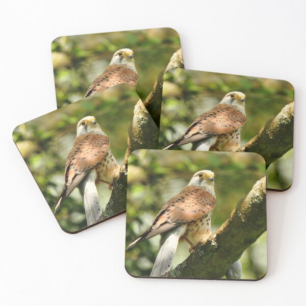 Item preview, Crouching Kestrel, Hidden Vole designed and sold by CBoyle.