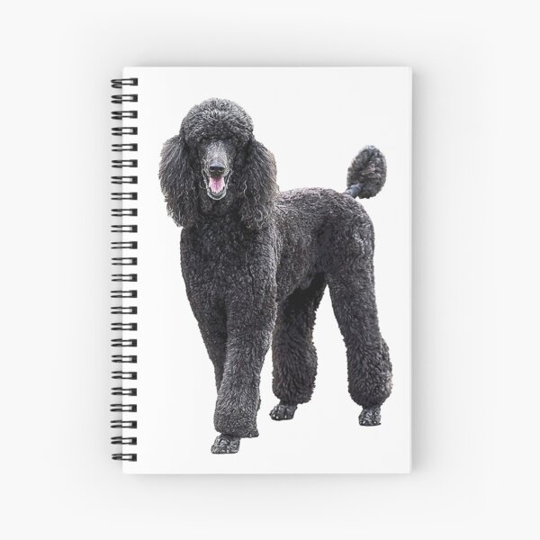 Item preview, Poodle Standard Black Cute elegant puppy dog designed and sold by ElegantCat.