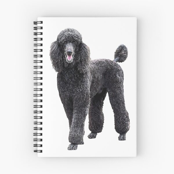 Item preview, Poodle Standard Black Cute elegant puppy dog designed and sold by ElegantCat.