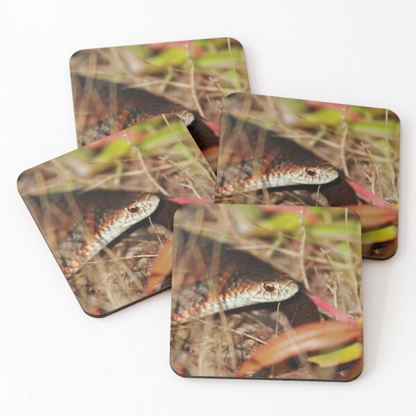 Item preview, Snake In The Grass designed and sold by CBoyle.