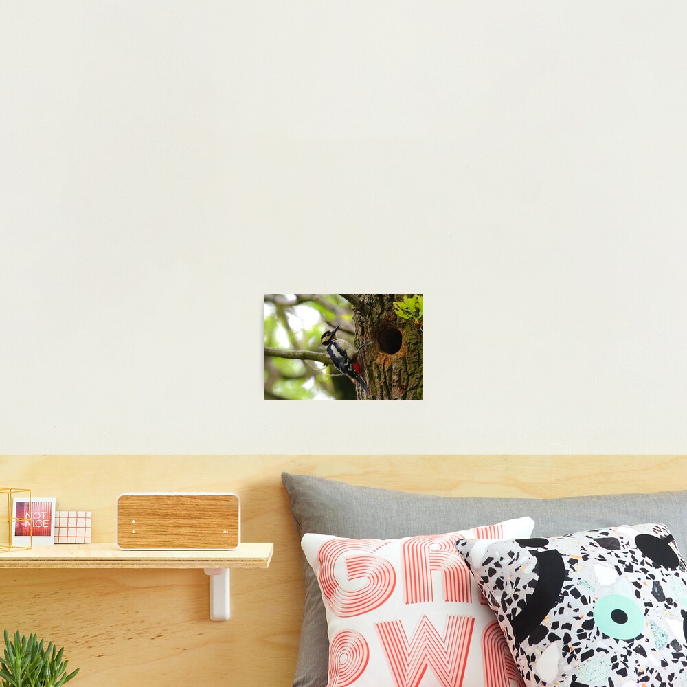 Item preview, Photographic Print designed and sold by CBoyle.