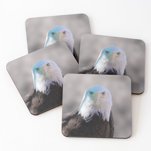 Item preview, A Bald Eagle Poses for the Camera designed and sold by MomentofPercep.