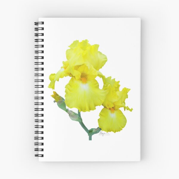 Artikelvorschau, Gelbe Iris entworfen und verkauft von odangophoto.