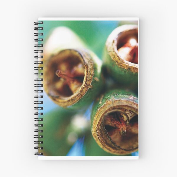Item preview, Gum nuts - Boronia designed and sold by Nicole Sumner.