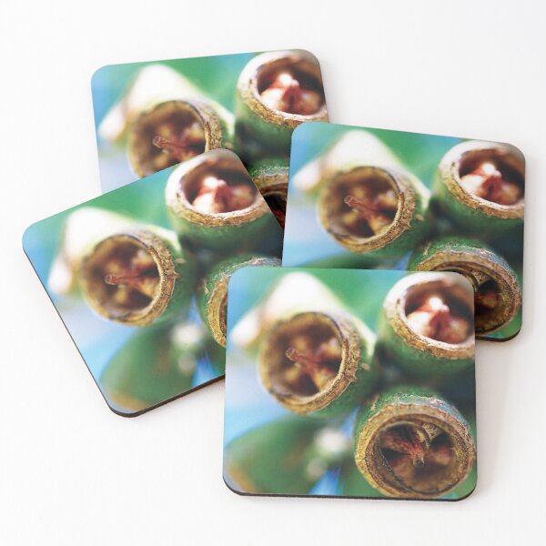 Item preview, Gum nuts - Boronia designed and sold by Nicole Sumner.