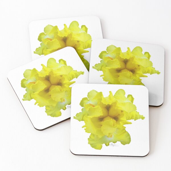 Item preview, Yellow Iris - Single Bloom designed and sold by odangophoto.