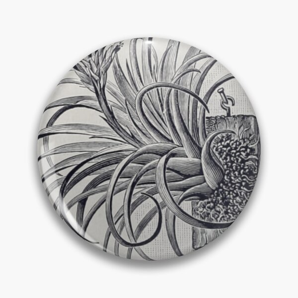 Item preview, Botanical Air Plant designed and sold by BlueSpecsStudio.