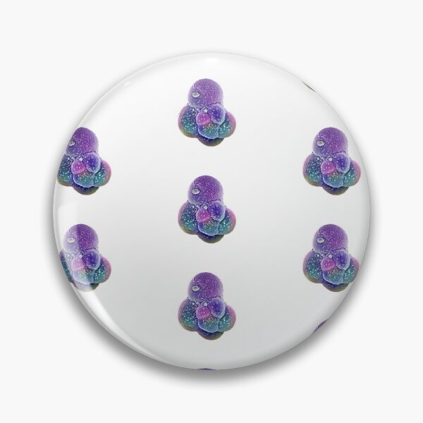 Item preview, © Foraminifera  designed and sold by GeoPipics.