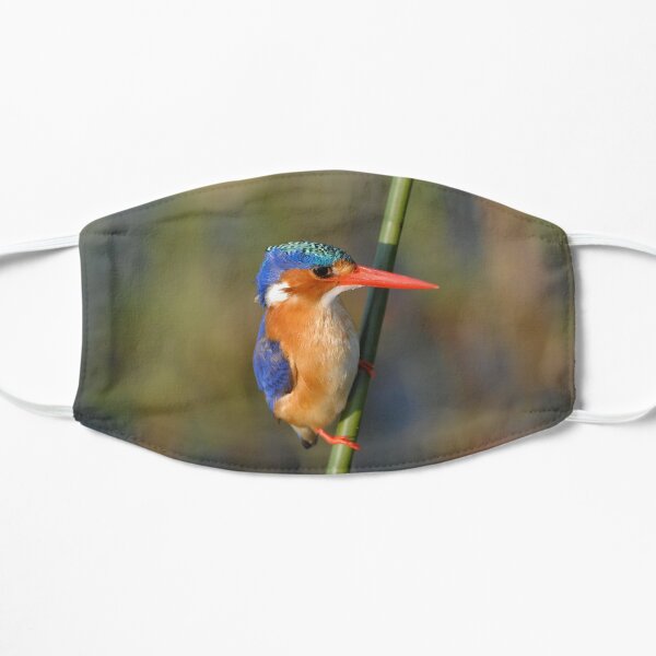Malachite Kingfisher Mask