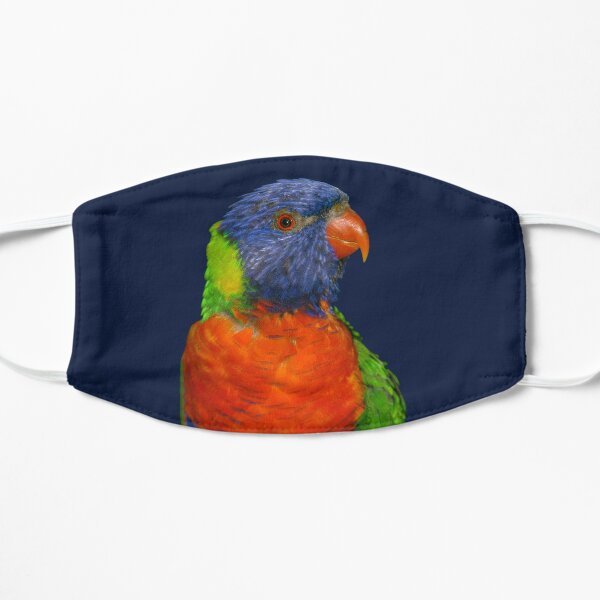 Rainbow Lorikeet Mask