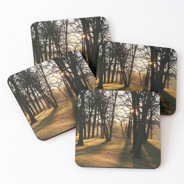 Item preview, Sunlight thru the trees. designed and sold by stephenralph.