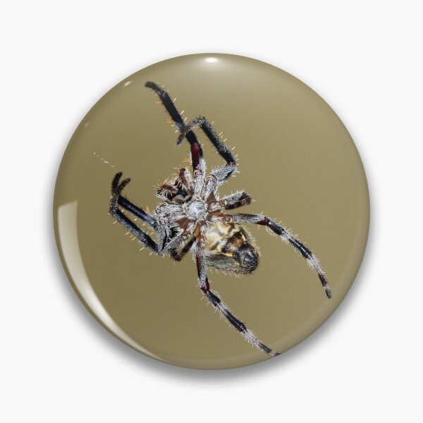Item preview, Golden Garden Orb Spider designed and sold by Siene Browne.