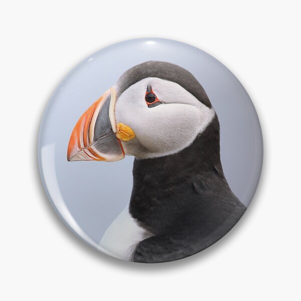 Item preview, Posing Puffin designed and sold by mlorenz.