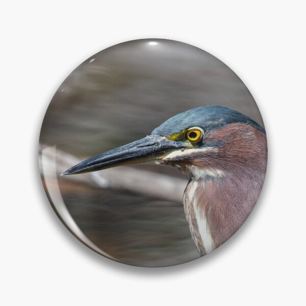 Item preview, Green Heron designed and sold by suburbanwilds.