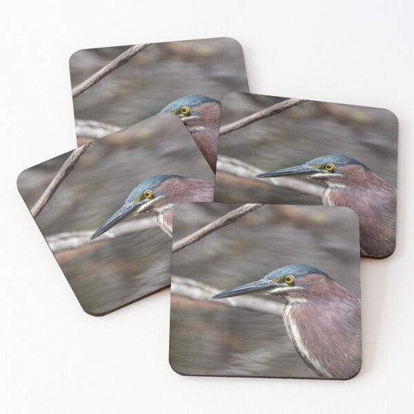 Item preview, Green Heron designed and sold by suburbanwilds.