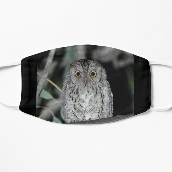 African Barred Owlet Mask