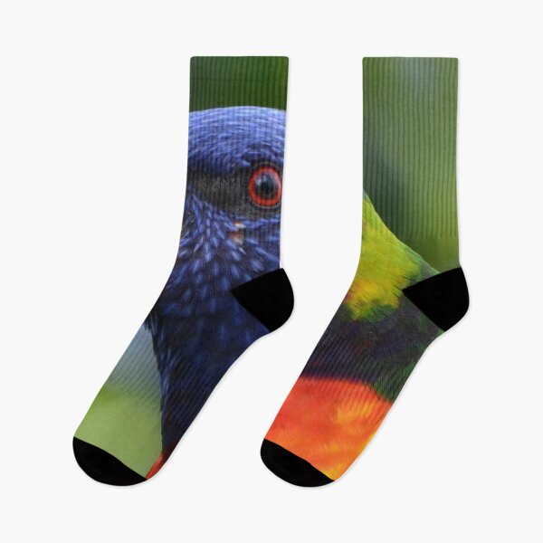 Item preview, Extreme close-up Rainbow Lorikeet designed and sold by lizdomett.