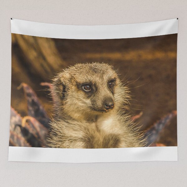 Item preview, Just a Kat designed and sold by Penny Heighes.
