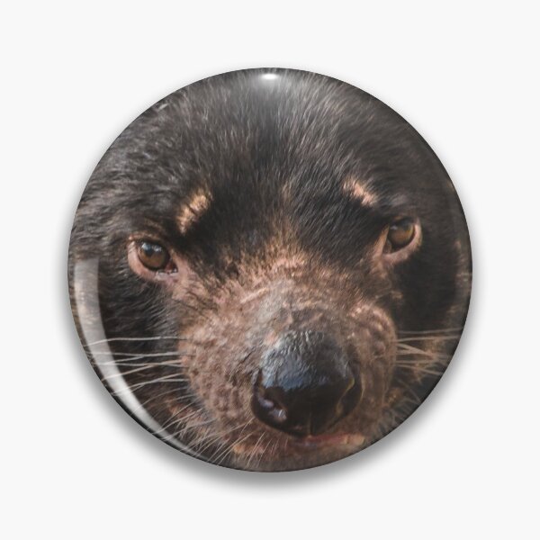 Item preview, Feisty! designed and sold by Penny Heighes.