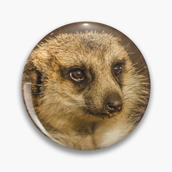 Item preview, Just a Kat designed and sold by Penny Heighes.