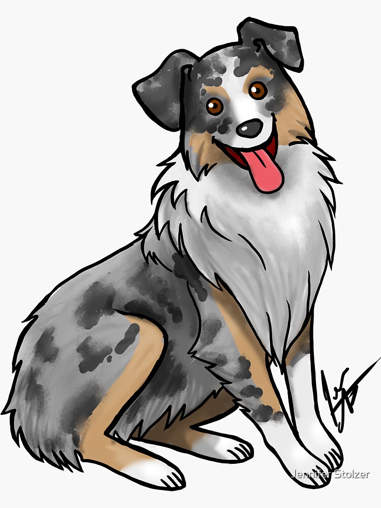 Australian Shepherd Blue Merle Sticker By Jameson9101322 Redbubble