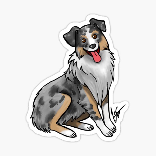 Australian Shepherd - Blue Merle Sticker