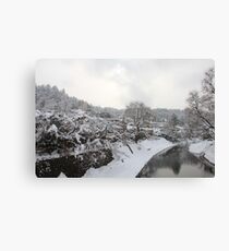 Takayama during Winter Canvas Print