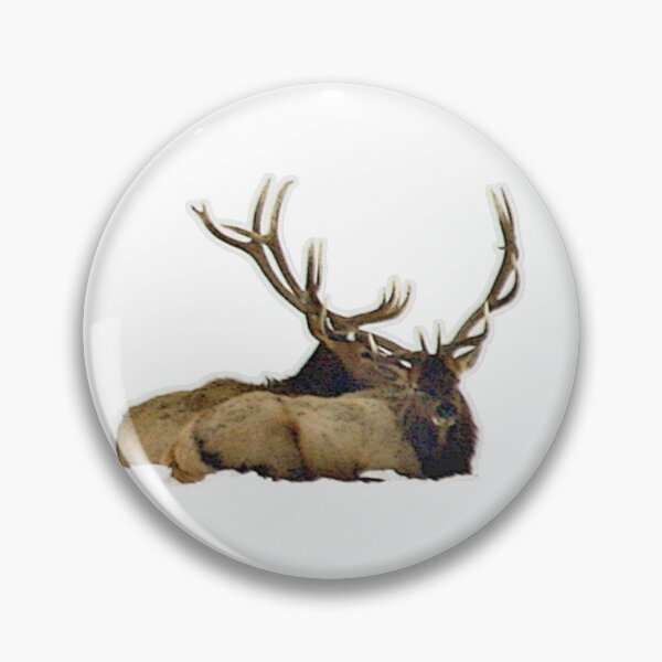 Item preview, Bull elk resting  designed and sold by Saltypro.