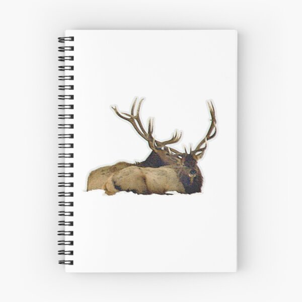 Item preview, Bull elk resting  designed and sold by Saltypro.